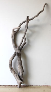Treibholz Schwemmholz Driftwood 1   Wurzel  Dekoration Garten Terrarium 80 cm   (W744)