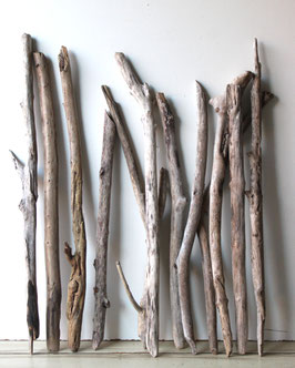 Treibholz Schwemmholz Driftwood  12 XL  Äste  Dekoration Garten Terrarium 65 cm - 86 cm (Ä1674)