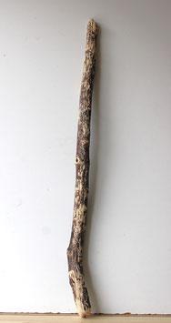 Treibholz Schwemmholz Driftwood 1 XXL   Ast Garderobe Dekoration 116 cm (Ä1507)
