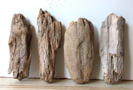 Treibholz Schwemmholz Driftwood 4 Hölzer  Dekoration Garten Garderobe 23 cm - 26 cm  **94** (TR1146)