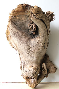 Treibholz Schwemmholz Driftwood 1 knorrige  MEGA Wurzel  71 cm (W643)