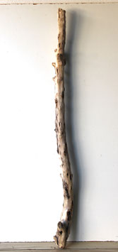 Treibholz Schwemmholz Driftwood  1 MEGA Ast  Garderobe Dekoration Garten 146  cm  (Ä1681)