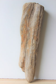 Treibholz Schwemmholz Driftwood  1 knorrige  XXL   Skulptur 81  cm   (XXL235)