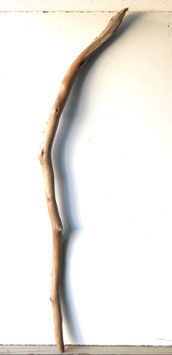 Treibholz Schwemmholz Driftwood  1 MEGA Garderobe Dekoration Garten  150 cm  (Ä1678)