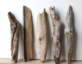 Treibholz Schwemmholz Driftwood  5 XL   Hölzer Dekoration Garten Terrarium 42-45 cm   (TR1216)