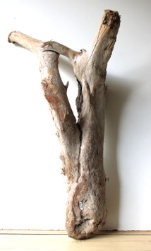 Treibholz Schwemmholz Driftwood 1 MEGA   Wurzel  Dekoration Terrarium 94 cm   (W621)
