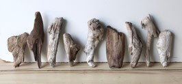 Treibholz Schwemmholz Driftwood  9 Hölzer Dekoration Garten Terrarium 17-27 cm **46** (TR1209)