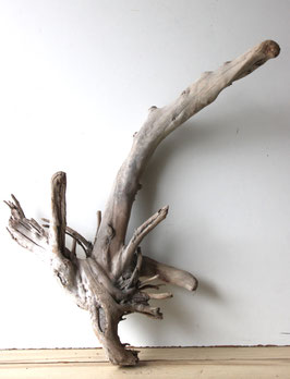 Treibholz Schwemmholz Driftwood  1 MEGA   Wurzel  Dekoration Garten Terrarium  74 cm  lang (W698)