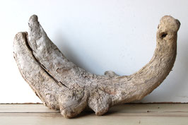 Treibholz Schwemmholz Driftwood 1 Wurzel  Dekoartion Garten 24 cm hoch (SA869)