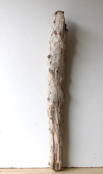 Treibholz Schwemmholz Driftwood  1   XL Stamm  Dekoration Terrarium  98 cm  (ST441)