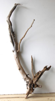 Treibholz Schwemmholz Driftwood 1 XXL Wurzel Dekoration Garten 107 cm (W722)