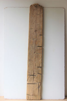 Treibholz Schwemmholz Driftwood  1 MEGA  Brett  157 cm  (B549)