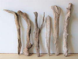 Treibholz Schwemmholz Driftwood  6  XL   Hölzer  43 cm - 55 cm lang **E14**  (TR712)