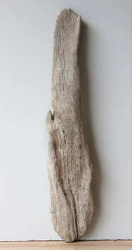 Treibholz Schwemmholz Driftwood  1     Rarität    69 cm lang  (R288)