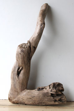 Treibholz Schwemmholz Driftwood  1 knorrige   XL   Wurzel  Dekoration Garten Terrarium  69 cm  lang (W697)