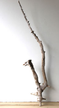 Treibholz Schwemmholz Driftwood 1 XXL Wurzel Dekoration Garten Terrarium 123 cm (W711)