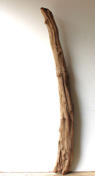 Treibholz Schwemmholz Driftwood  1 MEGA  Stamm Dekoration Lampe Maritim 135 cm  (ST463)