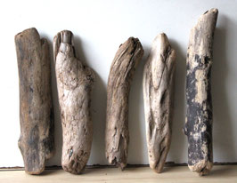 Treibholz Schwemmholz Driftwood  5  Hölzer Dekoration Garten  Terrarium 30 cm- 36  cm **16** (TR953)
