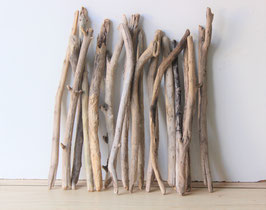 Treibholz Schwemmholz Driftwood  17 Äste 50 cm - 58 cm lang **E162**  (Ä1377)