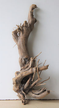 Treibholz Schwemmholz Driftwood  1  knorrige XL  Wurzel  60 cm (W457)
