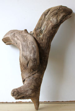 Treibholz Schwemmholz Driftwood 1 knorrige Wurzel Dekoration Garderobe  48 cm (SA776)
