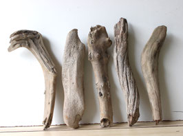 Treibholz Schwemmholz Driftwood 5  Hölzer Dekoration Garten Terrarium 35 cm - 40 cm lang **E34* (TR1028)