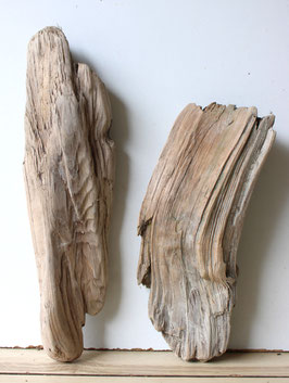 Treibholz Schwemmholz Driftwood 2 Hölzer Dekoration Garten Terrarium 30 cm - 40 cm lang **E181** (TR1065)
