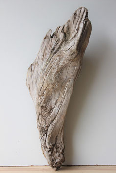 Treibholz Schwemmholz Driftwood  1  XL Rarität   62 cm lang  (R282)