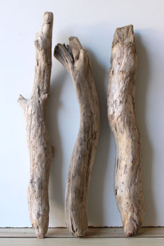 Treibholz Schwemmholz Driftwood 3 XL  Hölzer Dekoration Garten Terrarium 55 cm - 61 cm lang  (TR1046)