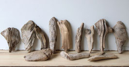 Treibholz Schwemmholz Driftwood  12 kleine Hölzer  Dekoration Garten Terrarium 18-23 cm **97** (TR1122)