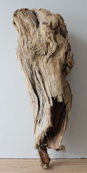 Treibholz Schwemmholz Driftwood 1 XXL Skulptur (XXL155)