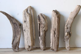 Treibholz Schwemmholz Driftwood  5 Hölzer Dekoration Garten Terrarium 29 cm-36 cm **E47** (TR1325)