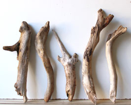 Treibholz Schwemmholz Driftwood  5 Hölzer Dekoration Garten Terrarium 36 cm - 47 cm lang **E77** (TR1038)