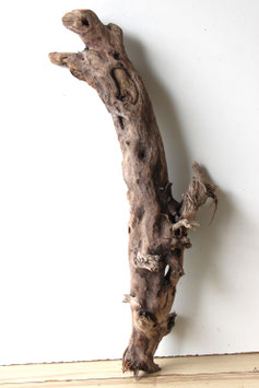 Treibholz Schwemmholz Driftwoood 1 knorrige  Wurzel Dekoration Terrarium 74 cm (W703)