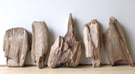 Treibholz Schwemmholz Driftwood  5 Hölzer Dekoration 20 cm - 27  cm lang **210** (TR921)