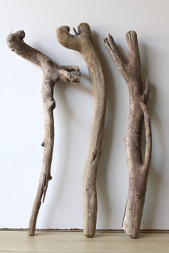 Treibholz Schwemmholz Driftwood  3 XL Hölzer Dekoration Garten Terrarium 67 cm - 70 cm  (TR1096)