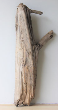 Treibholz Schwemmholz Driftwood  1 XXL  Skulptur  84 cm  (XXL222)