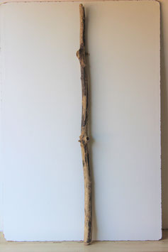 Treibholz Schwemmholz Driftwood  1 XXL  Ast    148  cm   (Ä1337)