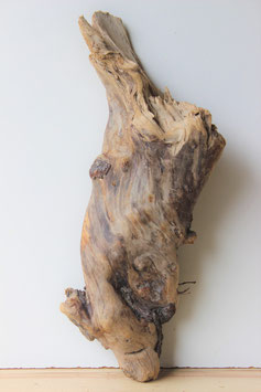 Treibholz Schwemmholz Driftwood  1 XXL   Skulptur 73  cm   (XXL234)