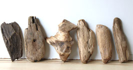 Treibholz Schwemmholz Driftwood 6 Hölzer Dekoration Garten Terrarium  19 cm - 24 cm **E175** (TR1131)