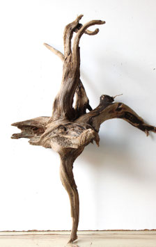 Treibholz Schwemmholz Driftwood  1 knorrige   Wurzel 62 cm  (W653)
