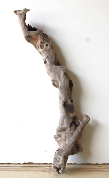 Treibholz Schwemmholz Driftwood 1   Wurzel  Dekoration Garten Terrarium 44 cm lang  (W741)