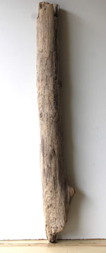 Treibholz Schwemmholz Driftwood 1 XXL Stamm  Dekoration Garten Terrarium  111 cm (ST489)