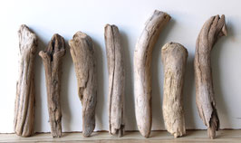 Treibholz Schwemmholz Driftwood  7 Hölzer Dekoration Garten Terrarium 26 cm - 36 cm **E5** (TR1158)