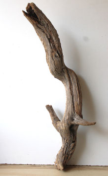 Treibholz Schwemmholz Driftwoood 1 knorrige XXL   Wurzel Dekoration Terrarium 80 cm (W701)