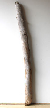 Treibholz Schwemmholz Driftwood 1 XXL Stamm  Terrarium Dekoration Garten 122  cm (SA797)