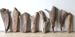 Treibholz Schwemmholz Driftwood 8 kleine  Hölzer Dekoration Garten Terrarium  20 cm - 28 cm  **193** (TR1320)
