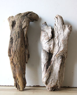 Treibholz Schwemmholz Driftwood 2 knorrige Hölzer Dekoration Garten  Terrarium 30 cm - 32 cm **E52** (TR1264)