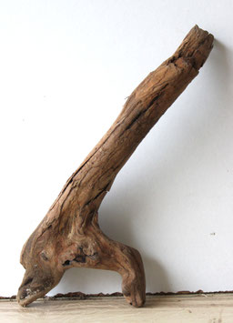 Treibholz Schwemmholz Driftwood  1 kleine Wurzel Dekoration Garten Terrarium 27 cm hoch (W727)