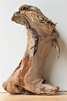 Treibholz Schwemmholz Driftwood  1 knorrige Skulptur  (S226)